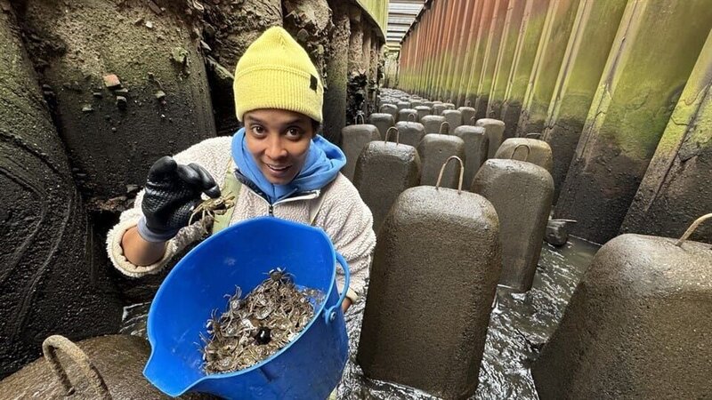 Bild: BR/​Text und Bild Medienproduktion GmbH & Co. KG/​Sabrina Nitzschke /​ KiKA