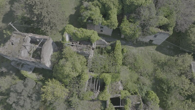 Gebäude in einem Wald von oben. – Bild: National Geographic for Disney