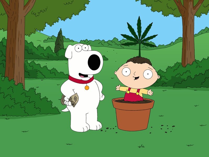 Als Brian (l.) wegen des Besitzes einer Kleinstmenge Marihuana verhaftet und eingesperrt wird, startet er nach seiner Entlassung aus dem Knast eine großangelegte Kampagne, um die Legalisierung der vermeintlich harmlosen Droge in Quahog zu erwirken. Stewie (r.) hilft ihm dabei. – Bild: Twentieth Century Fox Film Corporation