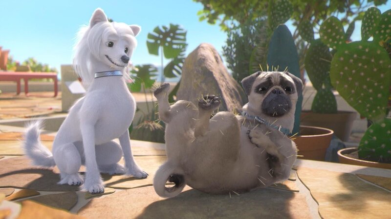 Bild: PLURIMEDIA (TeamTo)