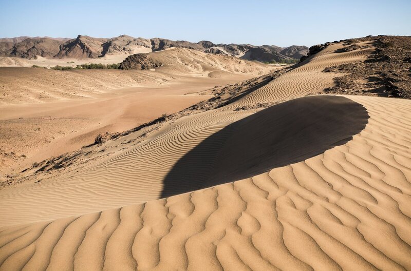Die scheinbar unwirtliche Namib-Wüste an der Südwestküste Afrikas steckt voller Leben. Faszinierende Wüstenspezialisten teilen sich die gewaltigen Sanddünen mit Löwen, Elefanten und sogar Giraffen. – Bild: BBC