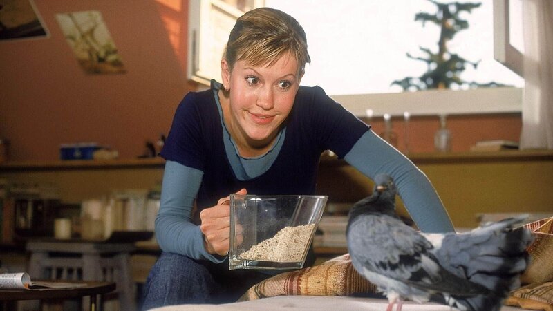 Alex (Wolke Hegenbarth) wird von einer Taube in den Wahnsinn getrieben, die sich mit keinem Mittel aus Alex’ Zimmer vertreiben lässt … – Bild: MG RTL D /​ Guido Engels