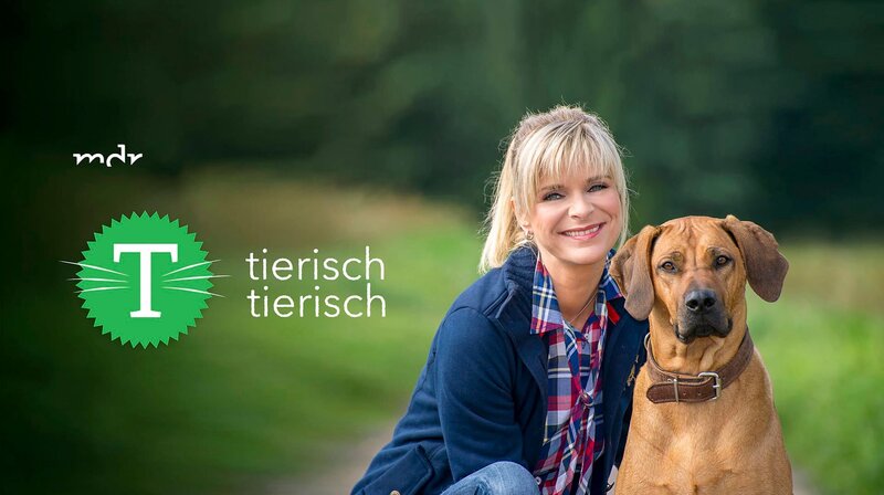 Moderatorin Uta Bresan – Bild: MDR/​Axel Berger