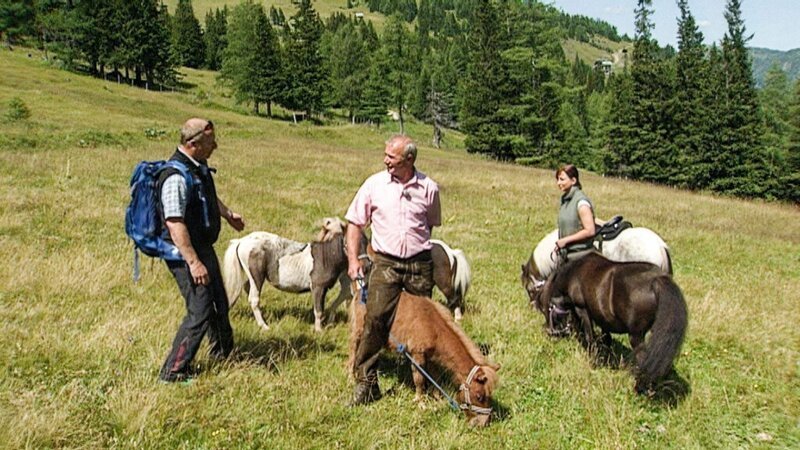 Harry Prünster auf der Pritzhütte mit Andi Neuschitzer. – Bild: ORF