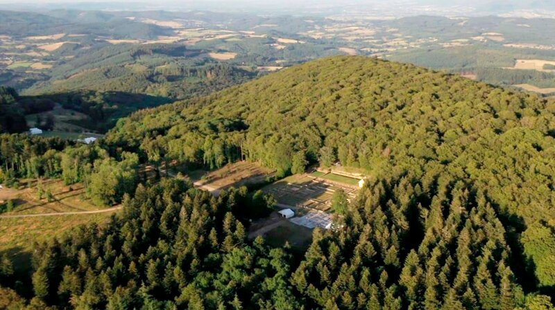 Fast 2.000 Jahre lagen die Überreste der Stadt Bibracte, einst das größte Oppidum in ganz Gallien, unter dichtem Wald verborgen. Erst ab Mitte des 19 Jahrhunderts wurden sie wiederentdeckt. – Bild: phoenix/​ZDF