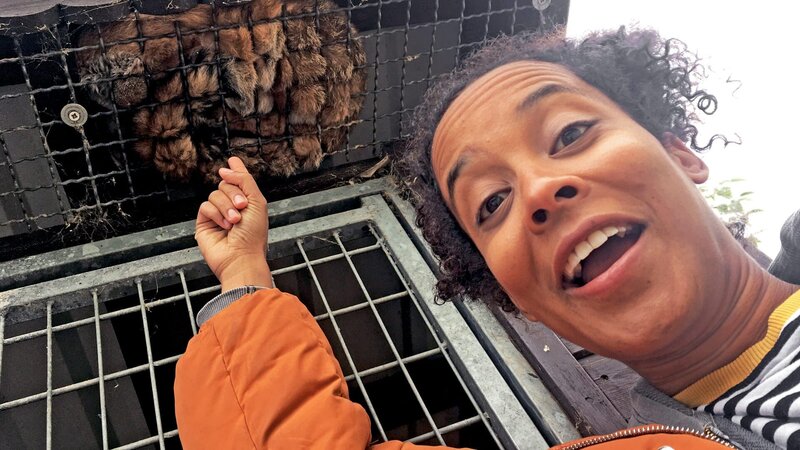 Pia entdeckt Jungfüchsin „Angie“. Sie hat sich auf dem Gitter gemütlich zusammengerollt. – Bild: Ben Wolter /​ BR, TEXT + BILD Medienproduktion GmbH & Co. KG