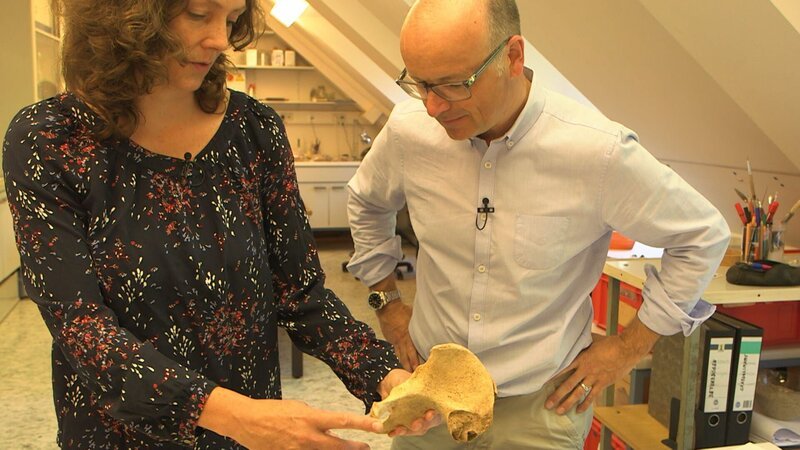 Die Anthropologin Julia Gresky erklärt Karsten Schwanke, anhand welcher Merkmale an Knochen Alter und Geschlecht bestimmt werden können. – Bild: BR/​Maximilian Schecker /​ Maximilian Schecker