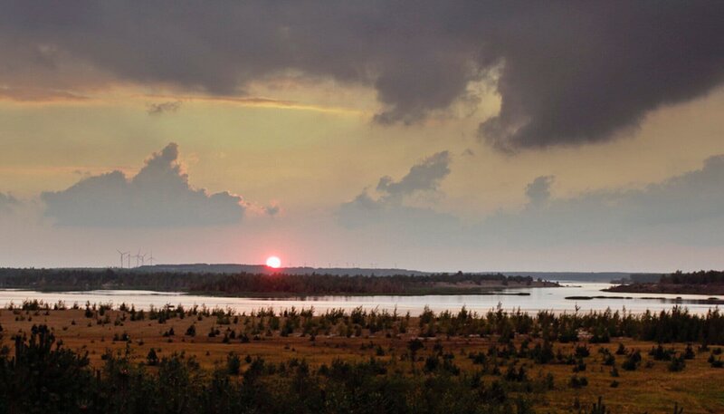 Tagebaufolgelandschaft: Wo noch vor ein paar Jahren riesige Bagger das Land auf links drehten, hält heute die Natur wieder Einzug. – Bild: NDR/​Altayfilm