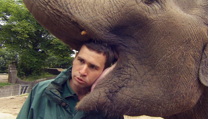 ARD/​NDR LEOPARD, SEEBÄR & CO., FOLGE 135, am Mittwoch (24.04.13) um 16:10 Uhr im ERSTEN. Ein Elefantenkuss für Tierpfleger Christian Wenzel. – Bild: NDR/​DocLights GmbH