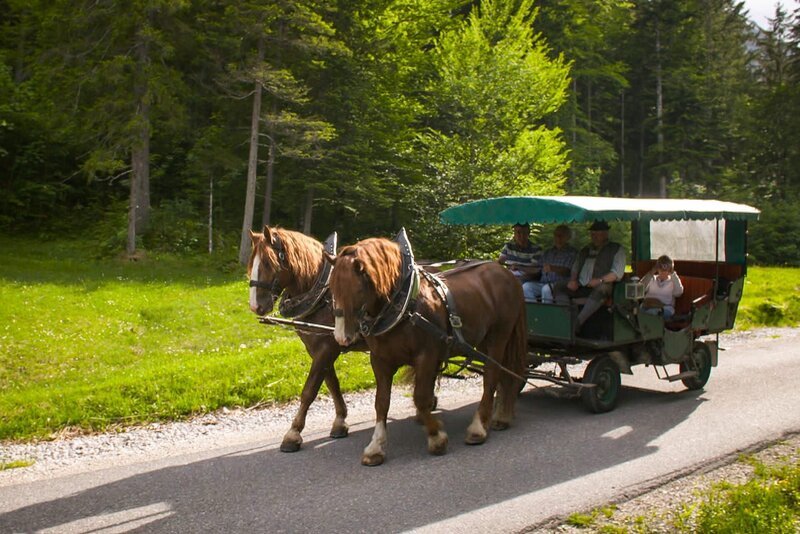 Kutsche statt Wohnmobil. Am Tennsee tauschen Gerd und Ursel ihre über hundert PS gegen zwei Pferde. Sie lassen ihren luxuriösen Camper stehen und machen eine Kutschfahrt in die Berge. Doch dann soll Gerd auch hier die Zügel übernehmen … – Bild: MDR/​timeline