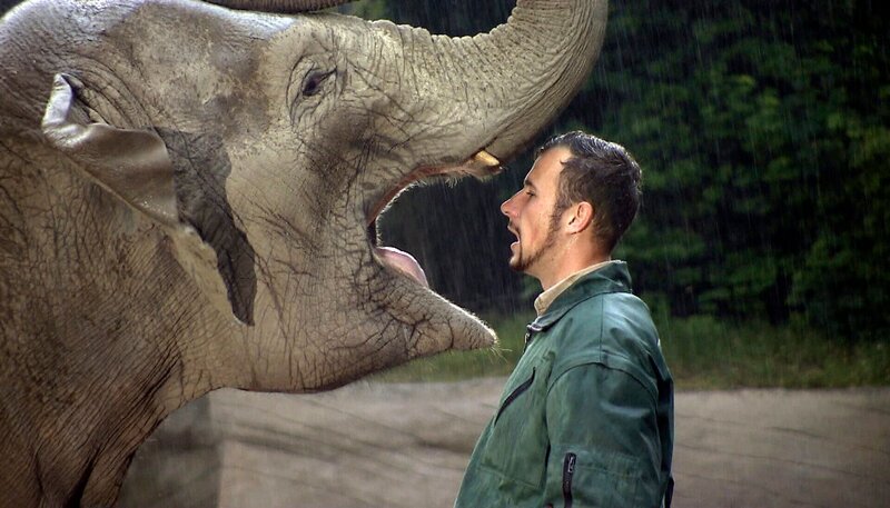 Elefantin Shandra und Robert Schieritz zeigen ihre Showeinlagen. – Bild: NDR/​DocLights GmbH