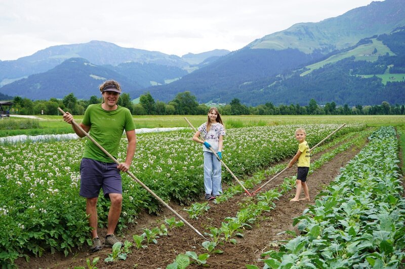 Gemüsebauer Anton „Toni“ Baldauf bekommt in den Ferien Unterstützung auf dem Feld von seinen Kindern – Bild: ServusTV/​Sabine Knoche/​Degn Film