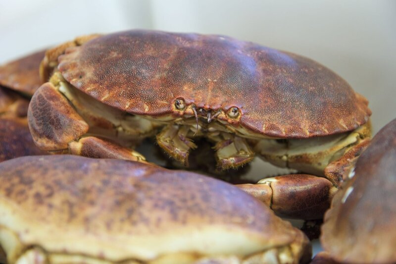 Krabben am Fischmarkt. – Bild: ORF/​WDW Film/​Florian Gebauer