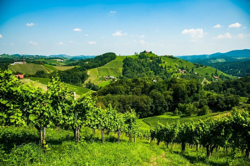 Schilcherland – Bild: ServusTV /​ DMG
