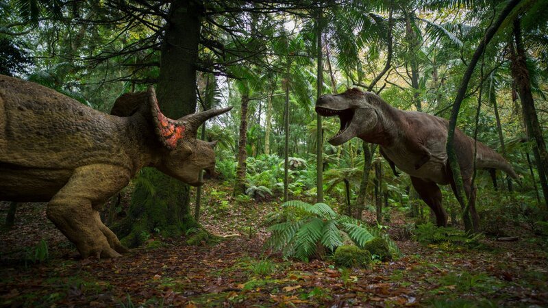Triceratops (l.), der ultimative Verteidiger, gegen Tyrannosaurus rex (r.), den ultimativen Angreifer. – Bild: ZDF