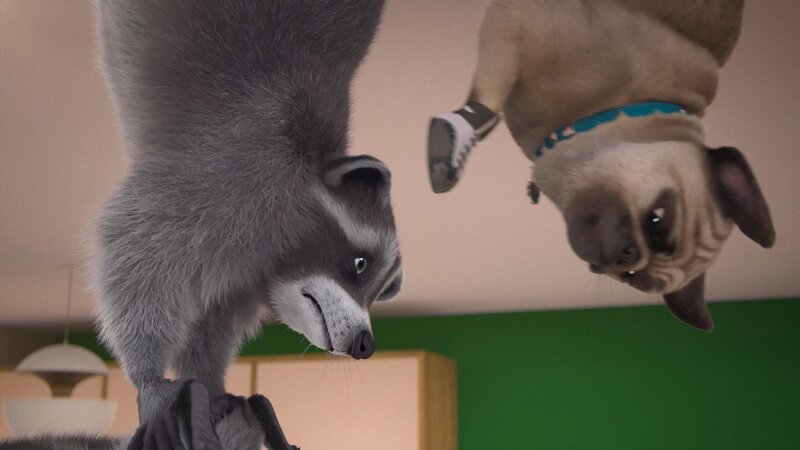 Bild: PLURIMEDIA (TeamTo)