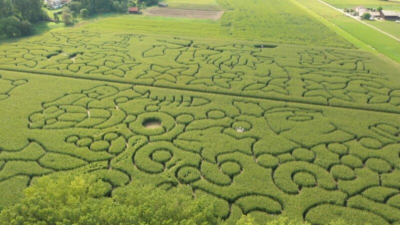 Luftaufnahme des größten Irrgarten Bayerns. – Bild: Matthias Ilnicki /​ BR, south & browse GmbH
