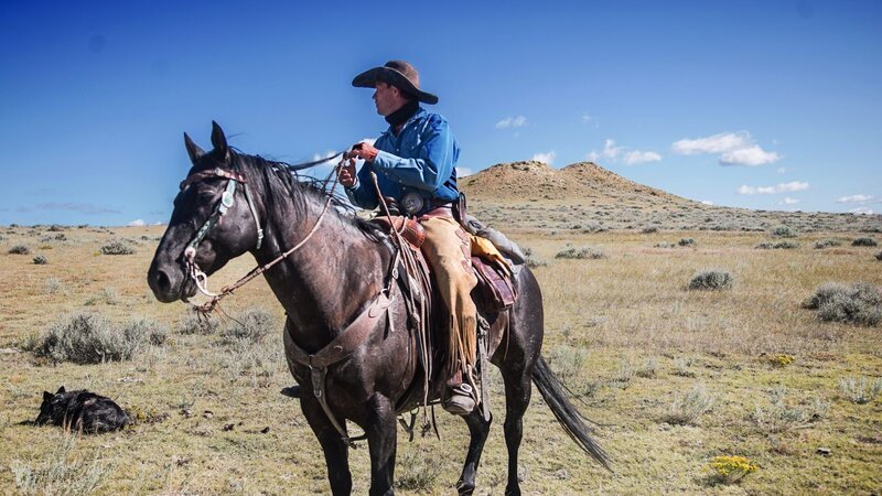 Clayton reitet auf seinem Pferd. – Bild: Discovery Communications /​ For Show Promotion Only