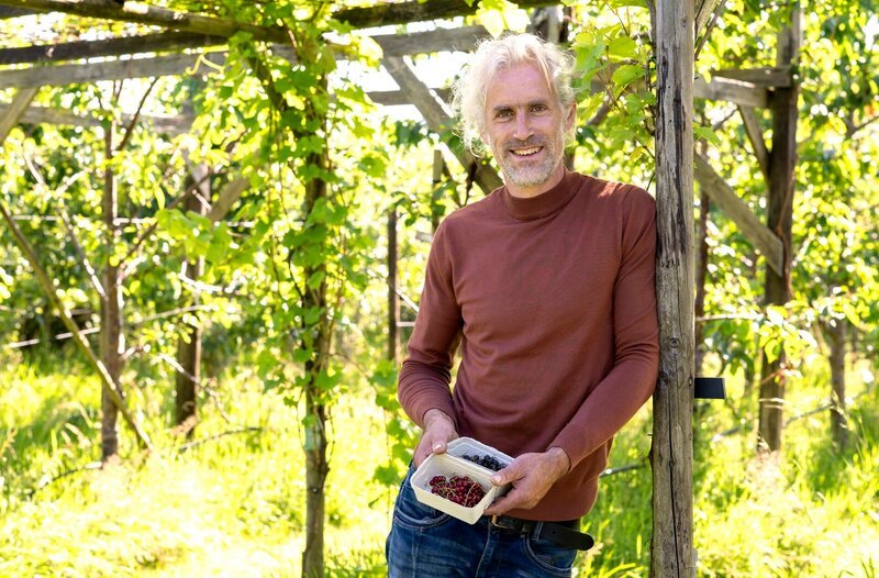 Ruben Abma hat sich in Oldeholtpade den Traum von einer vielfältigen Beerenfarm erfüllt. – Bild: WDR/​Melanie Grande /​ WDR Kommunikation/​Redaktion Bild