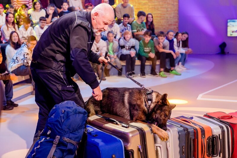 Zollbeamter Thomas Dyrda und Schäferhund Idris präsentieren, wie sie am Flughafen verbotene Gegenstände in Reisekoffern aufspüren. – Bild: ORF/​ZDF/​Nadine Rupp