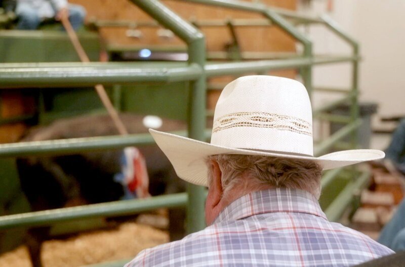 Ein Cowboy bei Arcadias wöchentlicher Viehauktion: Seit 1926 treffen sich hier die Viehzüchter aus der ganzen Region. – Bild: Hector David Rosales/​Penelope Pictures LLC