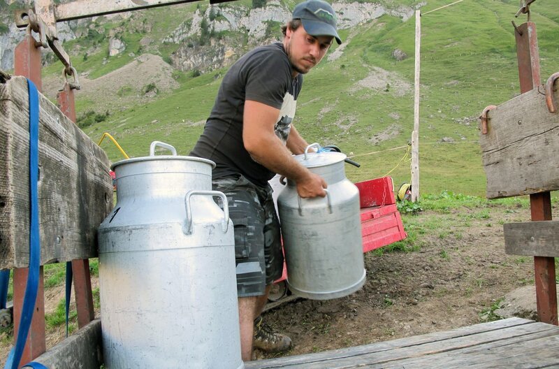 Sepp Herger hat sich eine eigene Bergweide in 1.500 Meter Höhe im Kanton Uri gekauft. Er und seine Frau Andrea hüten dort 80 Kühe. Die Milch gelangt schließlich mit dem Seilbähnchen zur Käserei. – Bild: MedienKontor/​Anja Reiß