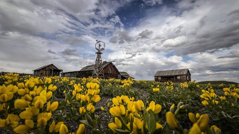 Holzhäuser und Blumen – Bild: History