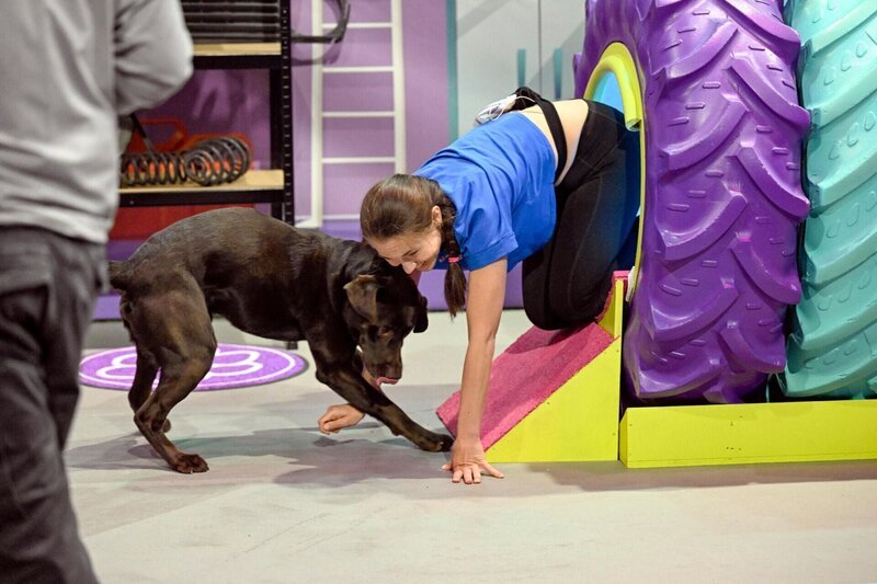 Karo Kujoth mit ihrem Labrador Mango in Runde 1. – Bild: RTL /​ Markus Hertrich