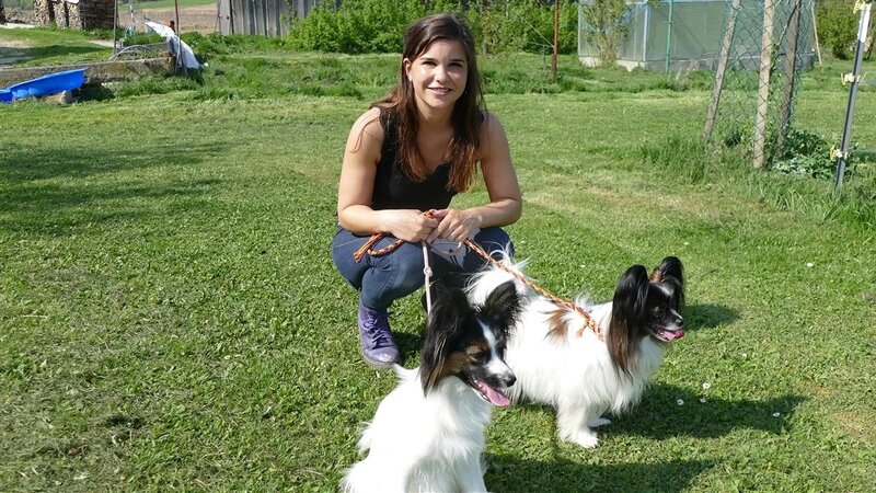 Papillon 1; – Bild: BR/​TEXT + BILD Medienproduktion GmbH & Co. KG