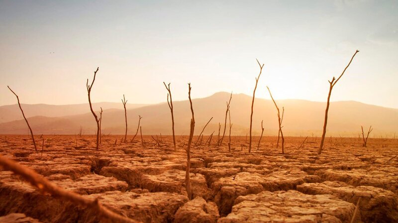 Viele Ackerpflanzen halten dem Klimawandel nicht mehr stand. – Bild: phoenix/​ZDF/​Tobias Lenz, Autorenkombinat