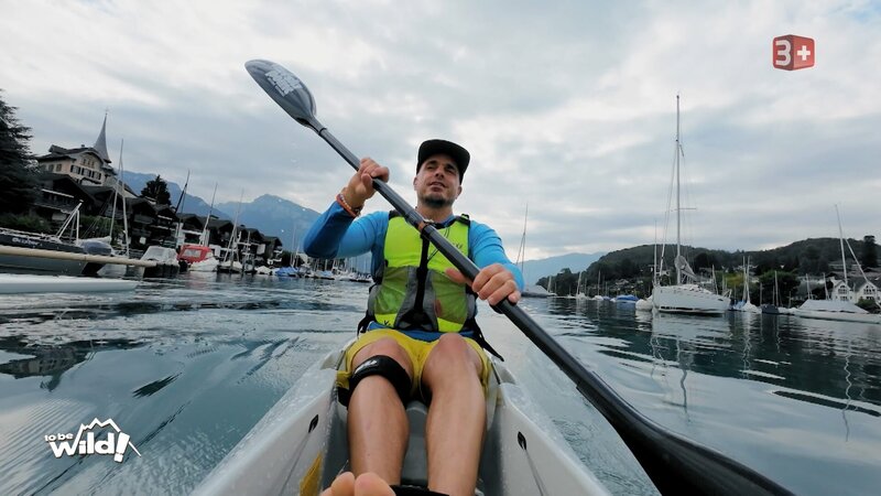 Dodo – Bild: CH Media