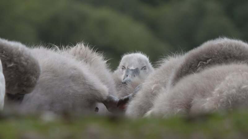 . – Bild: Marco Polo TV