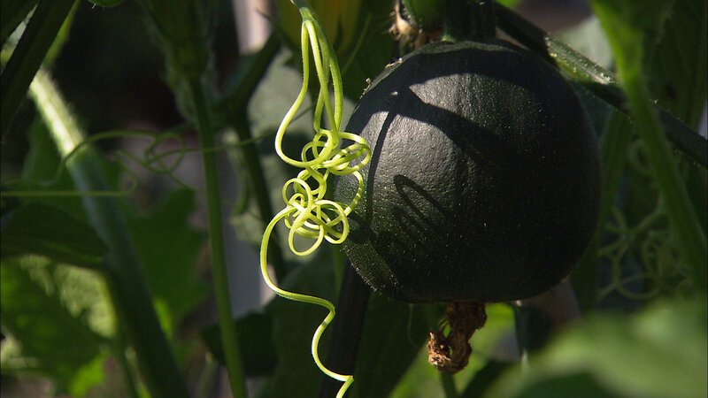 . – Bild: Marco Polo TV