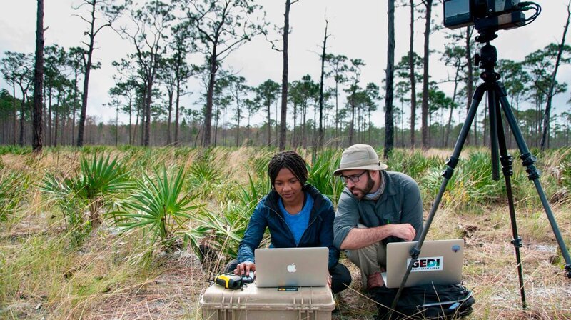Geophysiker vermessen ein Waldgebiet – Bild: phoenix/​ZDF
