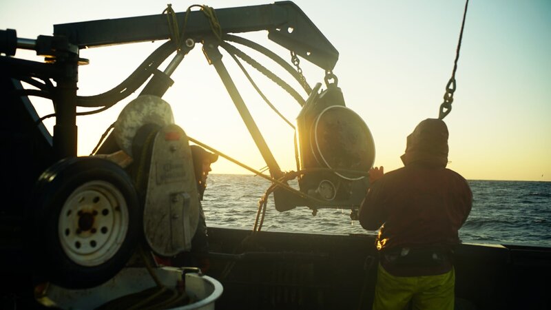 The Southern Wind crew prepares to pull up a pot. – Bild: Discovery Communications LLC