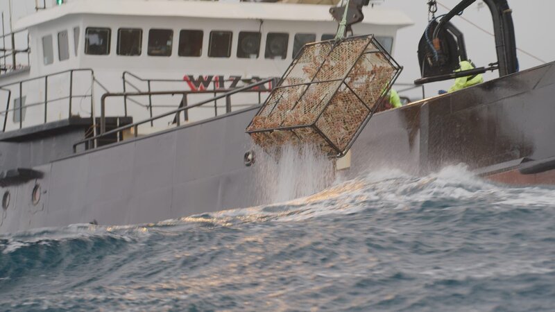 F/​V Wizard pulls up a big pot of Bairdi. – Bild: Discovery Channel /​ Discovery Communications, LLC
