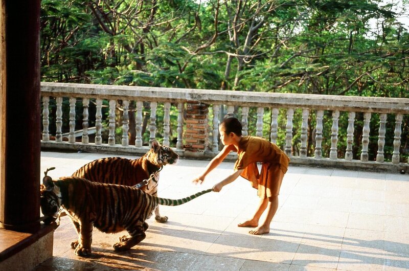 Waisenkind Shomkit mit Spielgefährten. – Bild: ORF