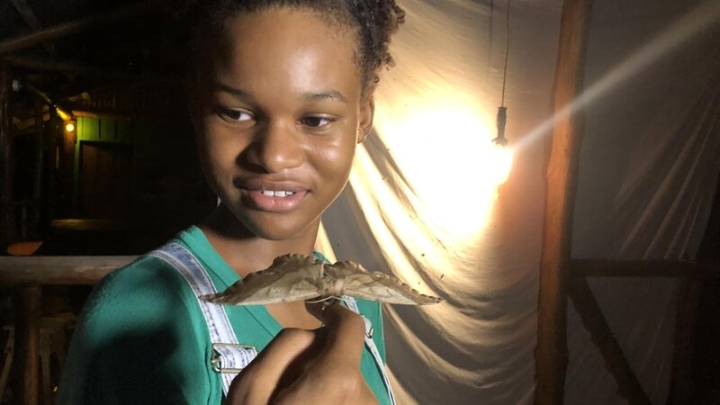 Aarlyn und die wilden Schmetterlinge 1 – Bild: hr/​Timeline Film+TV