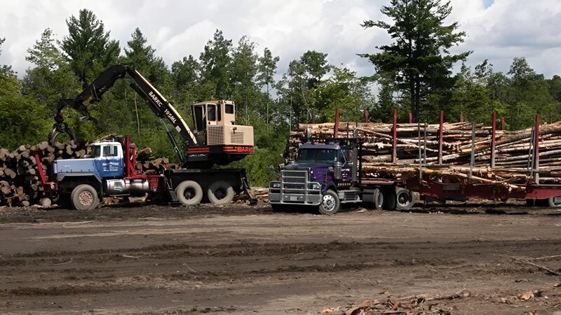 Crane loading a logging truck with wood as seen on episode three of American Loggers. – Bild: Warner Bros. Discovery