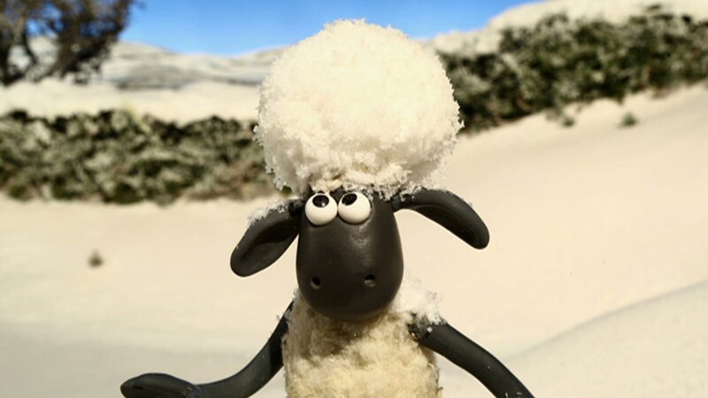 Neuschnee überrascht die Bewohner der Farm. Manch einer muss sich erst einmal an die weiße Pracht gewöhnen. – Bild: WDR, Aardman Animation Ltd., BBC
