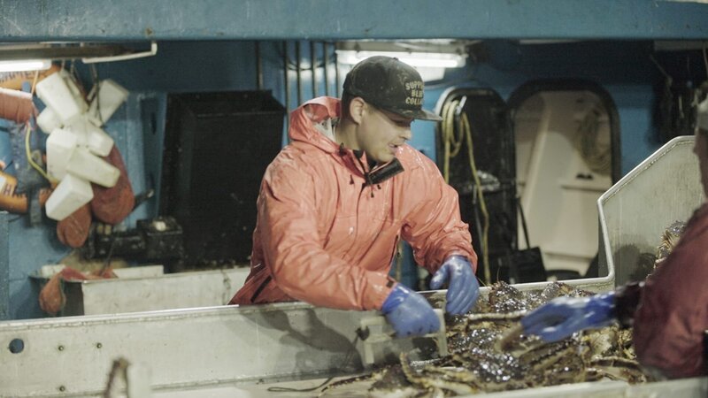 Summer Bay Deckhand, Landon Cheney, is focused as he counts the King Crab on the sorting table. – Bild: Discovery Channel