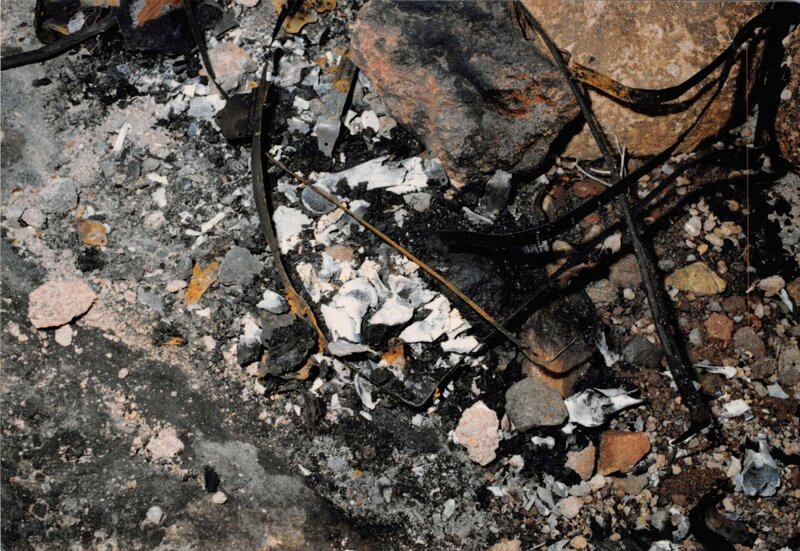 Bild: 2023 Alfred Street Industries, LLC  Wolf Reality LLC  Top Alternative Studio LLC All Rights Reserved Lizenzbild frei