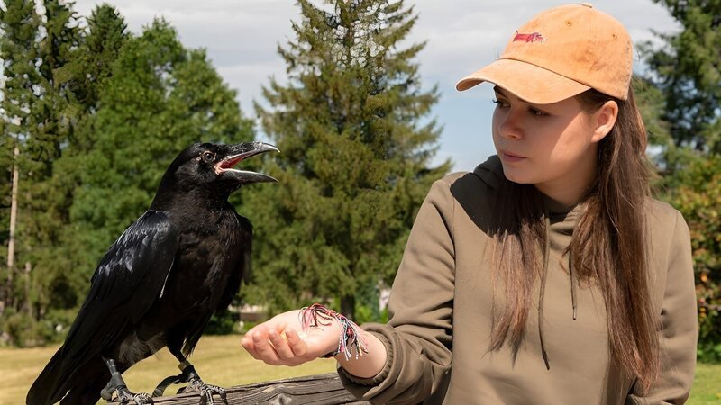 Immer Ärger mit Cashew – Bild: SWR/​Maria Wiesler