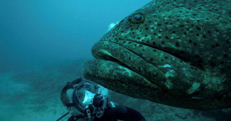 Bild: Licensed by Banijay Rights Limited Lizenzbild frei