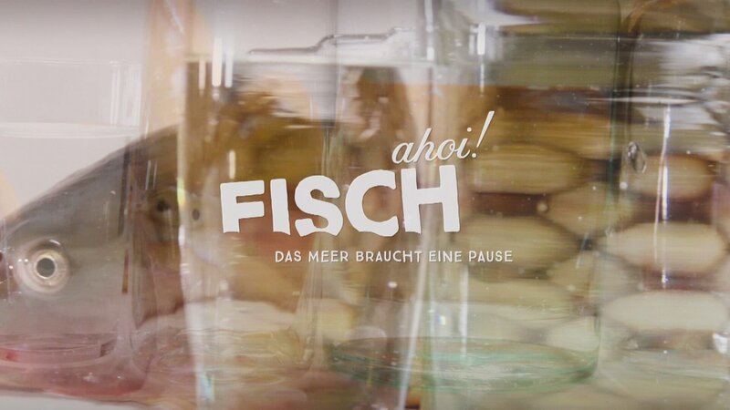 Signation, Logo. – Bild: ORF