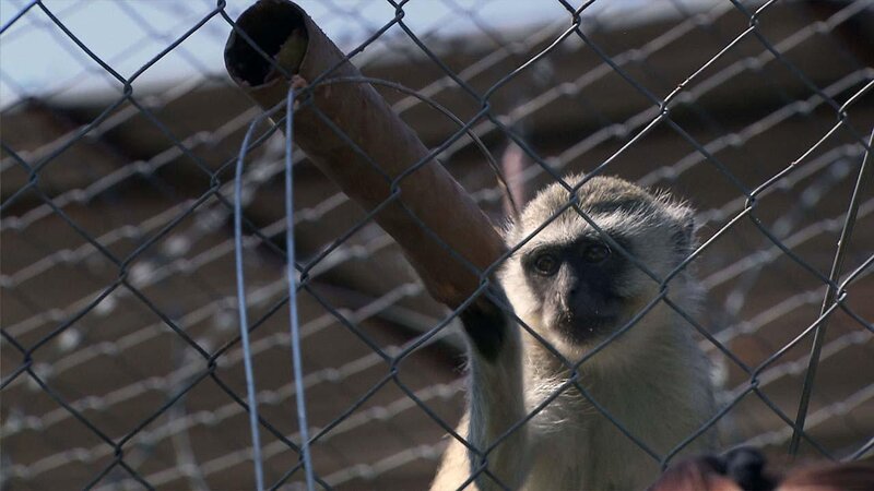 . – Bild: ANIXE HD