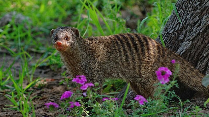 . – Bild: ANIXE HD