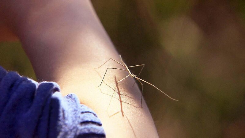 . – Bild: ANIXE HD