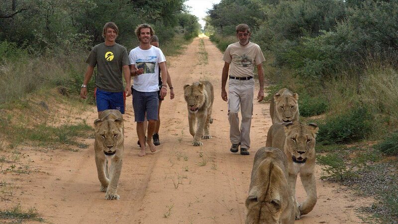 . – Bild: ANIXE HD