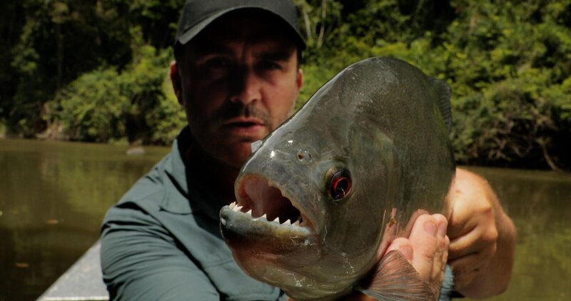 Bild: Licensed by Banijay Rights Limited Lizenzbild frei